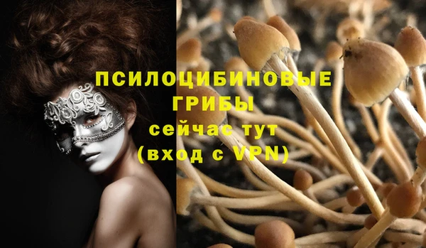 гашиш Аркадак