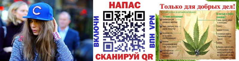 Каннабис планчик  закладка  Людиново 